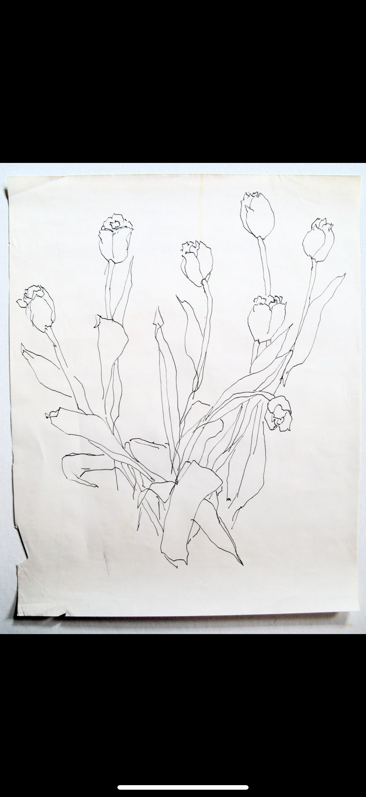 A simple black ink line sketch of several tulips on a piece of white paper.